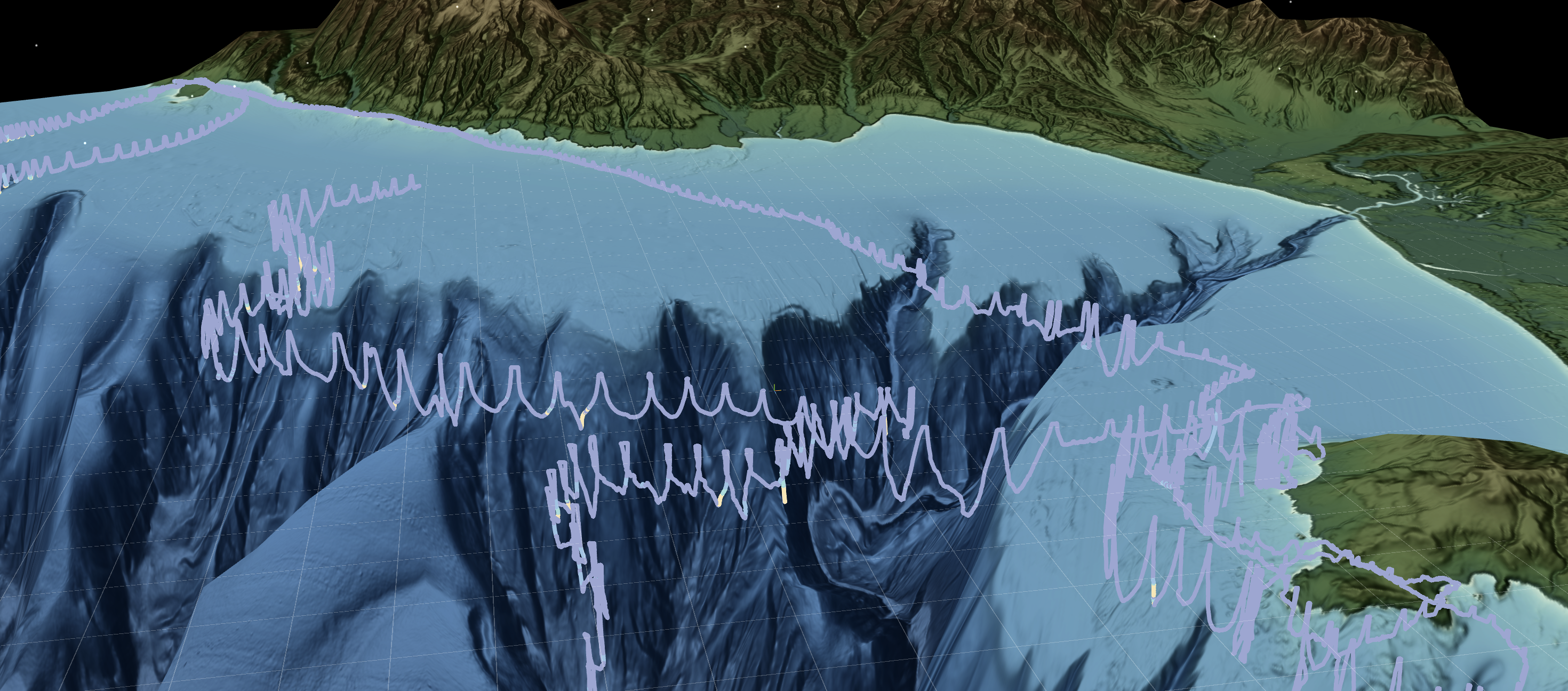 VR sensemaking environment for elephant seal tracking