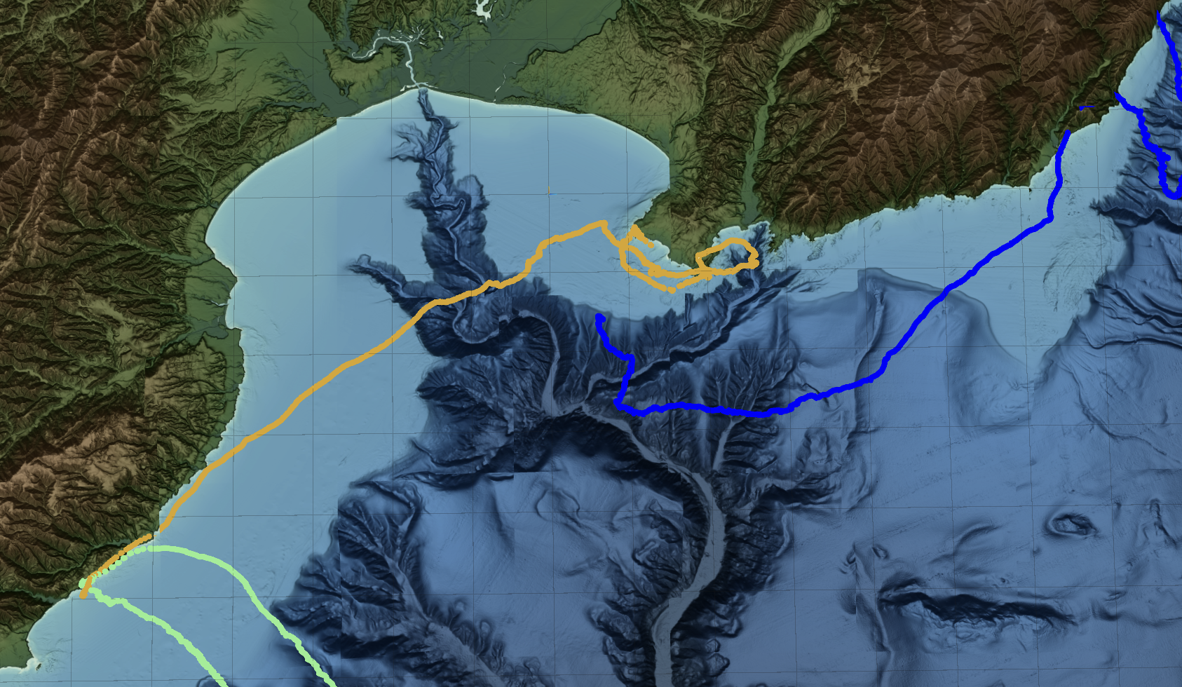 Sensemaking in VR: elephant seal paths in Monterey, CA
